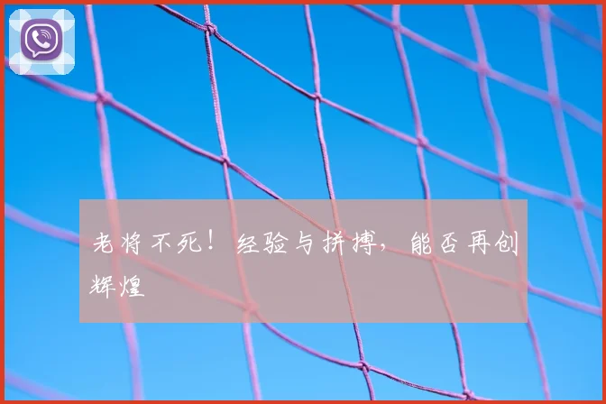 老将不死！经验与拼搏，能否再创辉煌