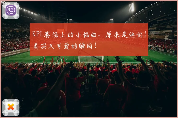 KPL赛场上的小插曲,原来是他们!真实又可爱的瞬间!
